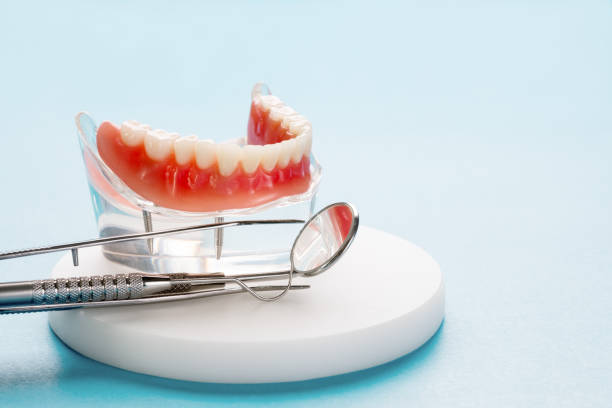 Best Teeth Whitening  in Fruitville, FL